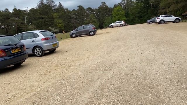 Vlog 340 - Уникальный английский лес и его обитатели смотреть онлайн