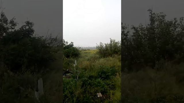 д.Ершовка смотреть онлайн