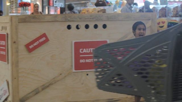 South African Super Animals: Are you brave enough to peek inside the box? смотреть онлайн