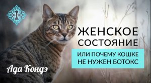 ЖЕНСКОЕ СОСТОЯНИЕ ИЛИ ПОЧЕМУ КОШКЕ НЕ НУЖЕН БОТОКС.  Ада Кондэ
