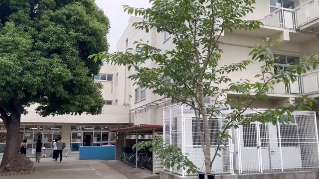 Японская начальная школа: день открытых дверей смотреть онлайн