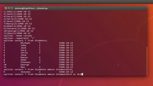 How To Prevent SQLite Injection Attacks On Ubuntu Linux смотреть онлайн