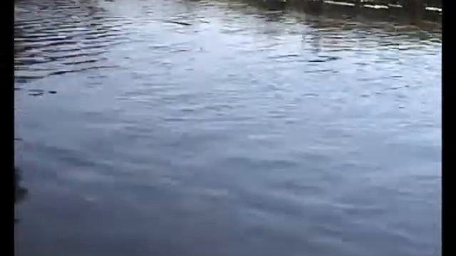 Река Волкота смотреть онлайн