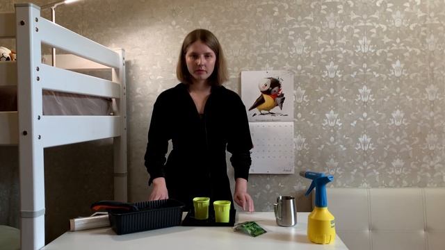 БАЗИЛИК НА РАССАДУ выращивание смотреть онлайн