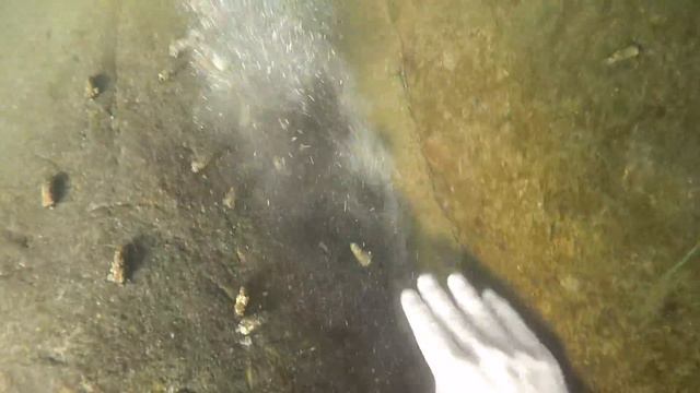 Snorkeling a Hidden Waterfall - I Found $203 Oakleys Underwater! (Crystal Clear Water!!!) смотреть онлайн