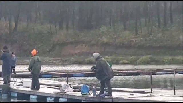Днем ловится не хуже, чем утром! Поимки в обеденное время. Клевое место, д. Савельево смотреть онлайн
