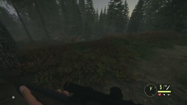 [Tomato] TheHunter : Call Of The Wild - Two Boys Go On A Lovely Killing Rampage.