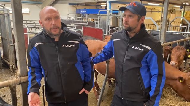 DeLaval VMS 310 RePro melkerobot hos Løvøen Samdrift смотреть онлайн