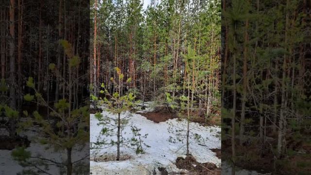 Добрый день.