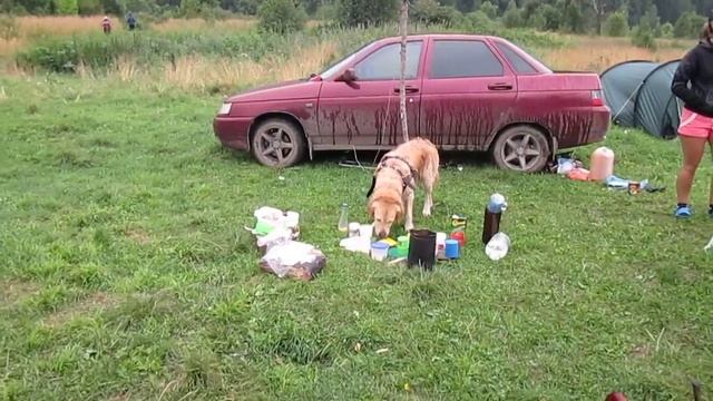 Московка Река Кия. Приехали сплавщики с собакой!!