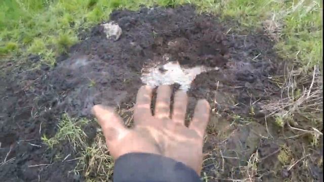 Выкапываем деньги из болота 27 мая 2020 смотреть онлайн