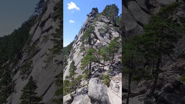 Из Омска в Боровое смотреть онлайн