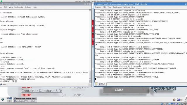 Full Transportable Export/Import into the DBaaS Cloud - Oracle 12c смотреть онлайн