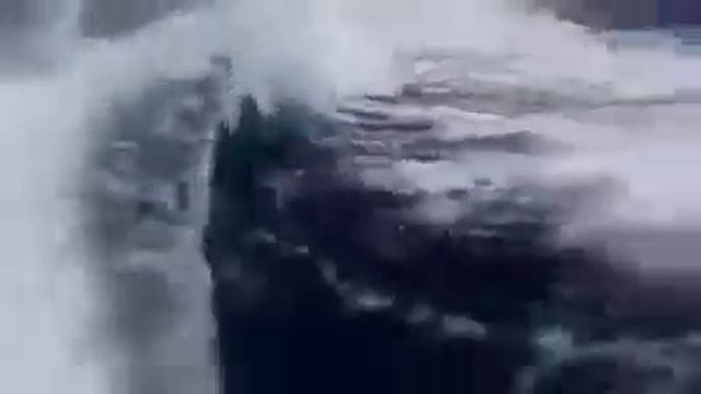 За катером гонятся огромные касатки смотреть онлайн