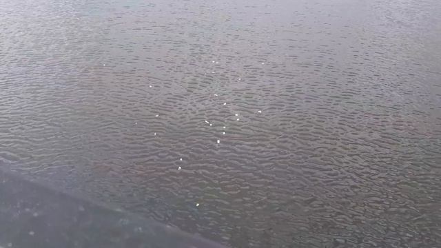 #влог #тату Подарок Костяна. результат в самом конце видио смотреть онлайн