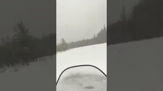#Тайга барс 850 смотреть онлайн