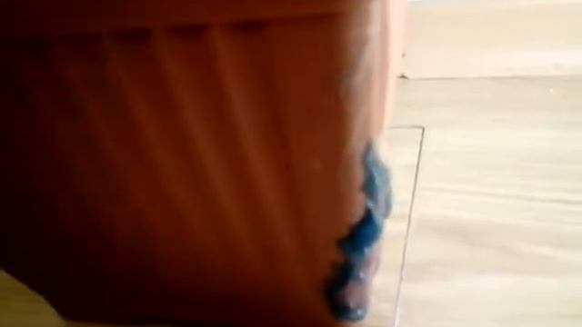 Декоративный фонтанчик ЛЕСНОЙ РОДНИЧОК своими руками смотреть онлайн