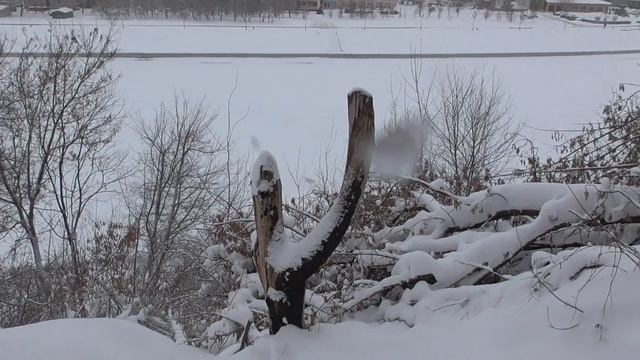 Зима. Геннадий Горин в городском парке в беседке смотреть онлайн