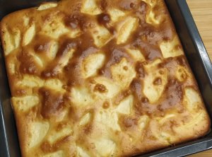 Шарлотка на молоке: получается нежной и вкусной. Пирог с яблоками (яблочный пирог)