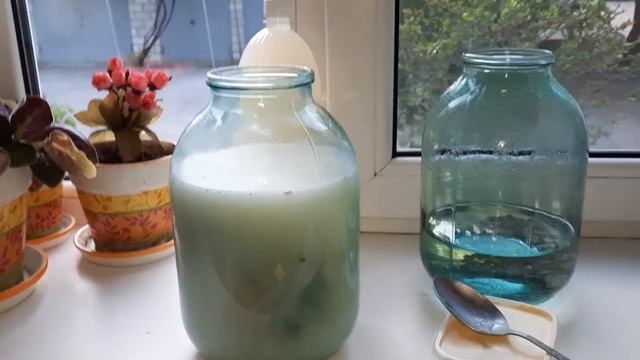 КВАС НА ЧИСТОТЕЛЕ смотреть онлайн