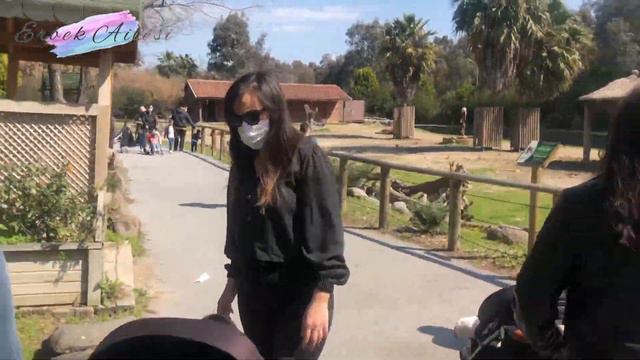 İzmir doğal yaşam parkı vlog/Супер зоопарк в Измире.Отдых в Турции 2021 #izmir #зоопарк смотреть онлайн
