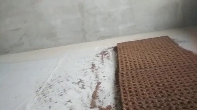 Супер способ для 100% всхожести семян. Посадка перца Геркулес на рассаду! смотреть онлайн