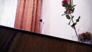 Nikonov Hotel  (Saint Petersburg)