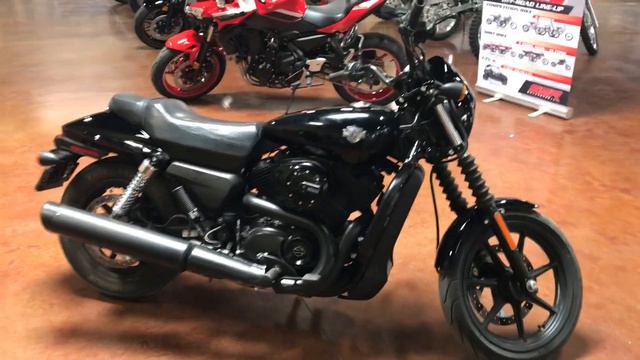 Motorsports Of New Mexico:  Preowned 2020 Harley Davidson XG500 Street 500 #harleydavidson