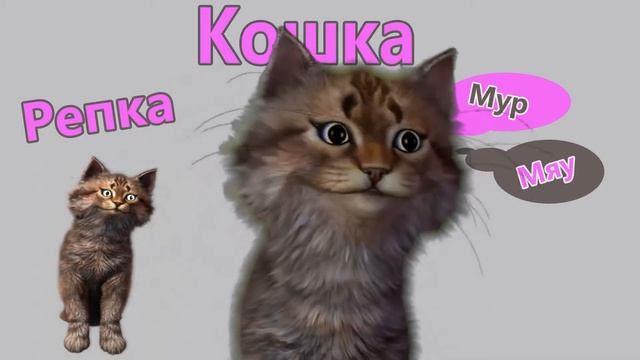 Сказка про Репку Слушать с Кошкой Мур-Мяу смотреть онлайн