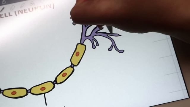 How to draw diagrams on the iPad (seriously easy) | GoodNotes 5 смотреть онлайн