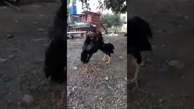 Разминка смотреть онлайн