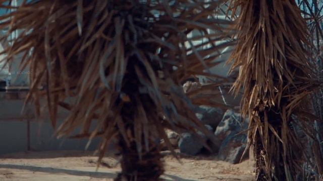 КАК МЫ УМРЕМ НА МАРСЕ? [Школа космического выживания] смотреть онлайн