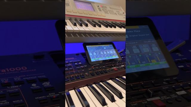 Sevcet Gio Style “in action TALLAVA mix” KORG PA1000 | KORG M3 HD SET🔥 смотреть онлайн