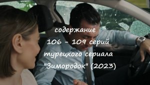 Содержание 106, 107, 108 и 109 серий турецкого сериала "Зимородок" (РФ, 2023)