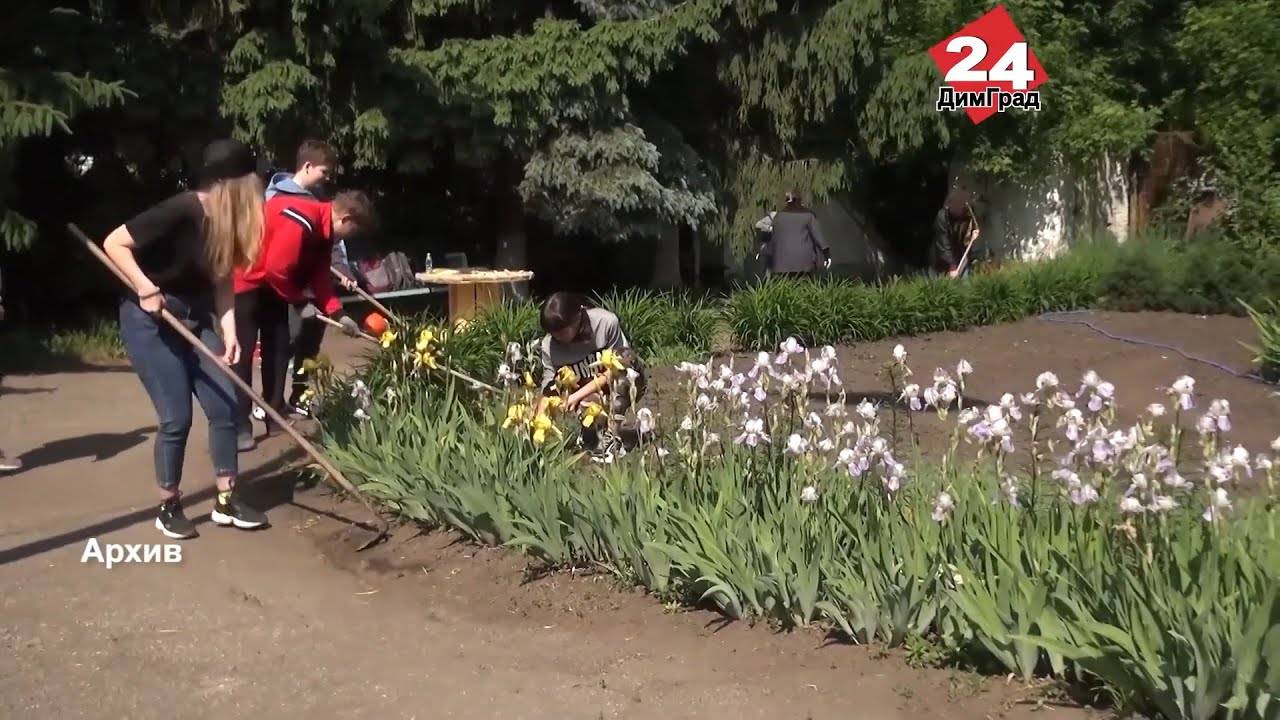 В Димитровграде более 370 подростков были трудоустроены на время летних каникул смотреть онлайн