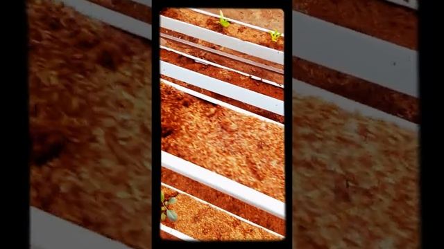 Responsive Drip Irrigation смотреть онлайн