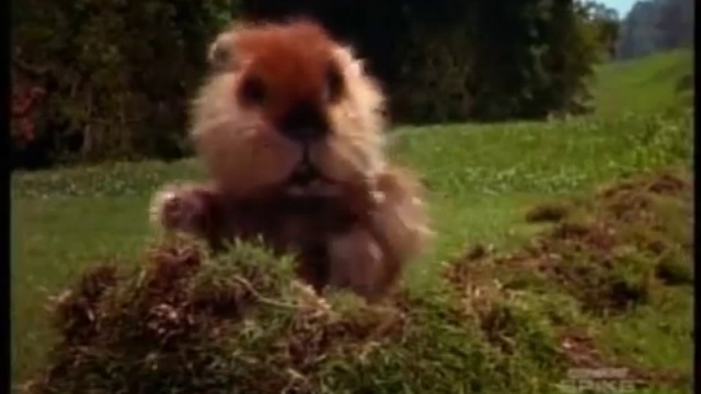 Танцующий суслик смотреть онлайн