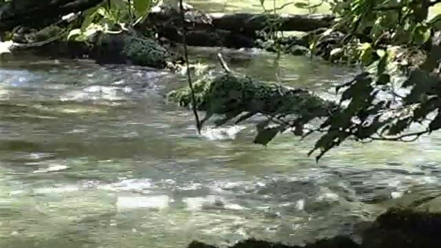 Крым. Река Карасу смотреть онлайн