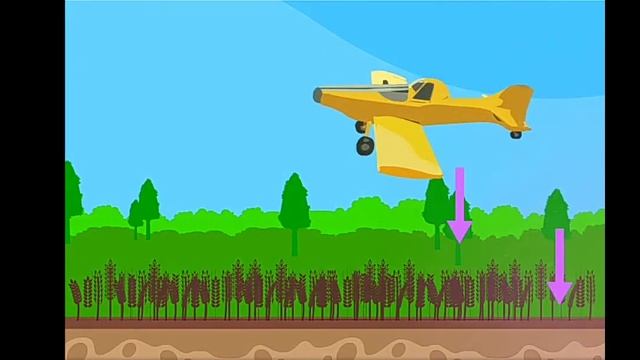 Топырақтың тозуы смотреть онлайн