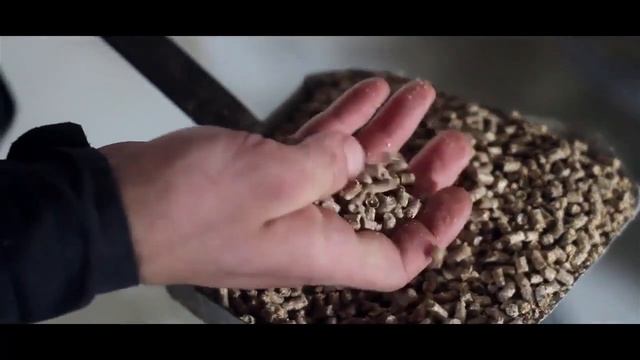 Комбикормовый завод "РУСКОМ-Агро" работает на оборудовании "Технэкс" смотреть онлайн