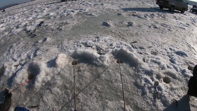 Рыболовное путешествие в Де Кастри. 18 - 25.01.2020 г. Часть 2. Бухта Сомон. Корюшка. смотреть онлайн