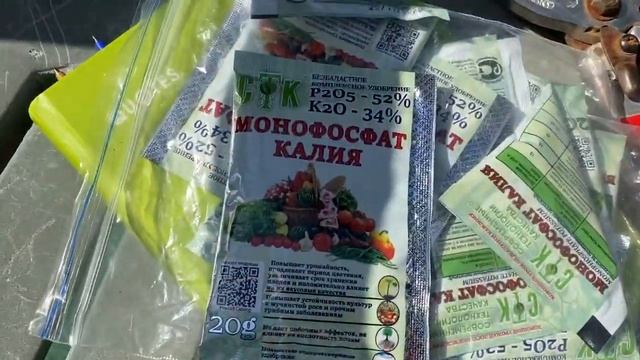 Монофосфат калия для роз в кашпо! Мой опыт. смотреть онлайн