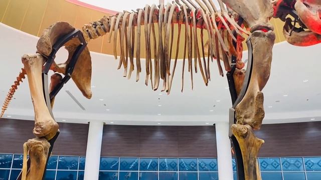 Marina Mall | Abu Dhabi UAE | Travel Vlog #marinamall #abudhabi