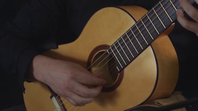 Matt Palmer plays Mauro Giuliani - La Rose Op. 46, No. 9 смотреть онлайн