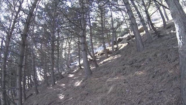 #2 Грузия / Пешком по Казбеги / Горы-горы!! смотреть онлайн