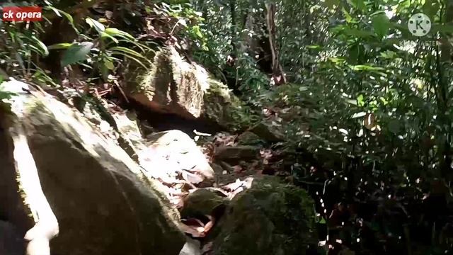 Settlements where ancient humans lived | A journey from the city in search of human settlements смотреть онлайн