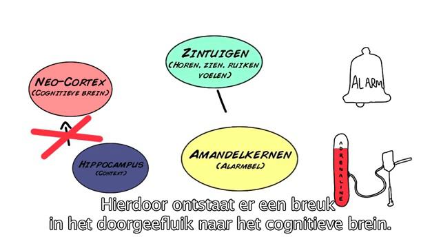 CREF methode voor het basisvertrouwen смотреть онлайн