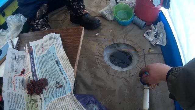 Электронный кивок Борового. Рыбалка на Яузском водохранилище. смотреть онлайн