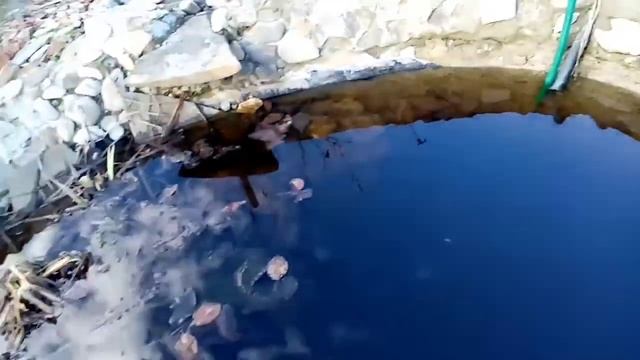 Пруд своими руками из бетона. Часть 8