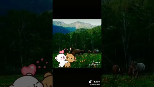 Когда поют смотреть онлайн